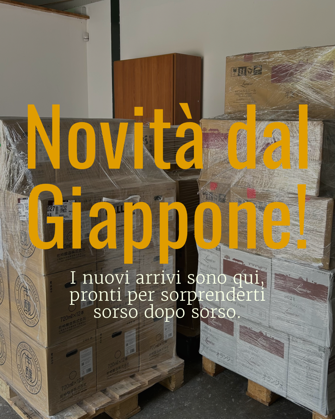 Esclusiva Importazione dal Giappone: Vini, Sake e Liquori Tradizionali per Veri Appassionati